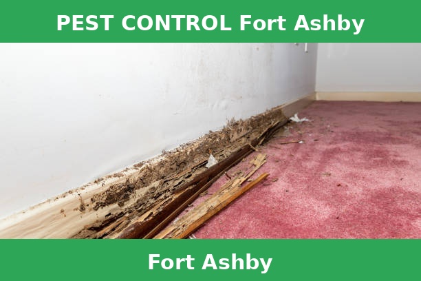 PEST CONTROL Fort Ashby